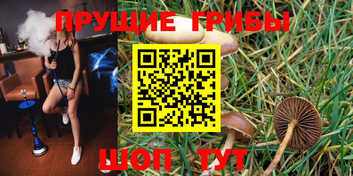 Галлюциногенные грибы мухоморы Каспийск