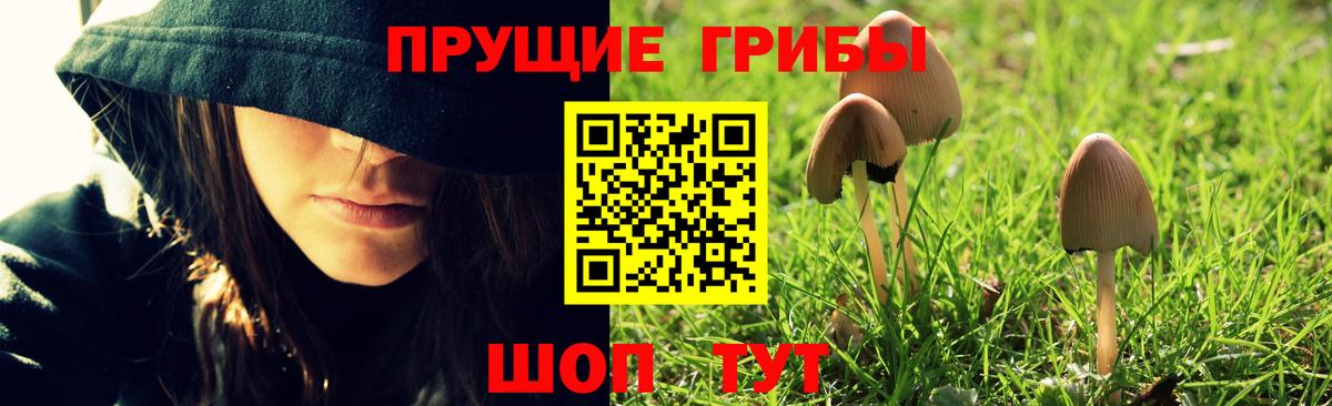 где купить   Галлюциногенные грибы Psilocybine cubensis  Вход с VPN  Каспийск  Галлюциногенные грибы Psilocybe 