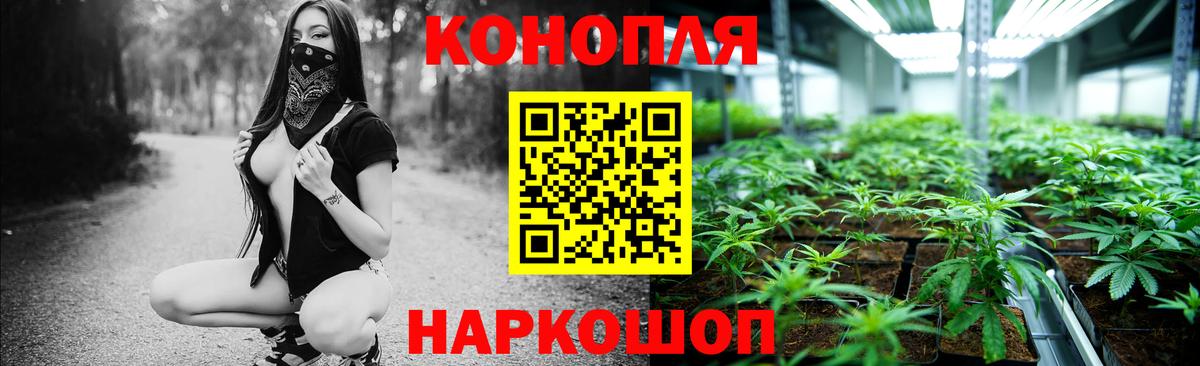 Шишки марихуана семена Каспийск